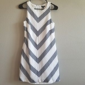 Ann Taylor Dress